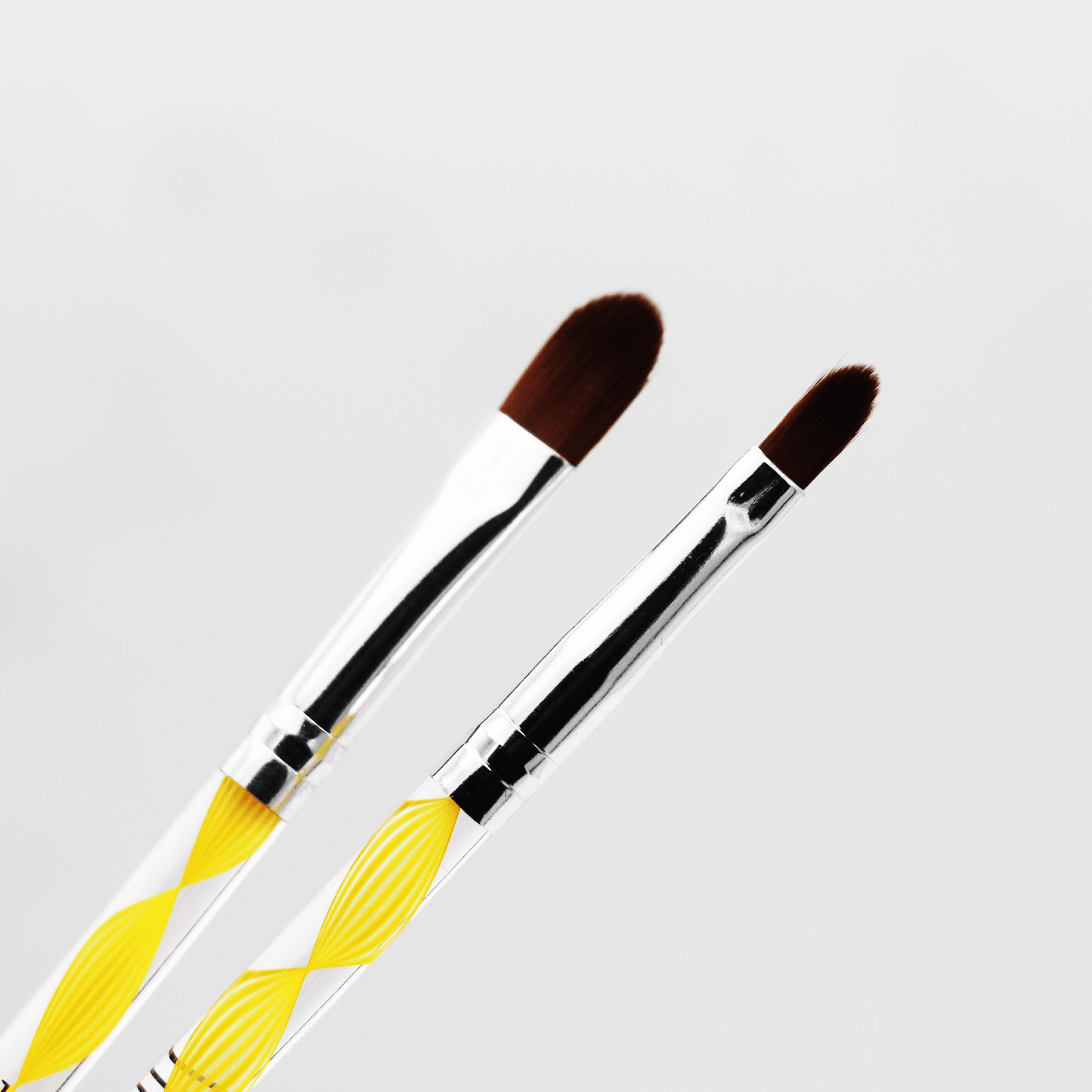 Makeup Brush Set (Set of 5)
